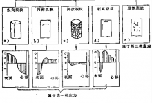 纵向裂纹