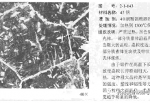马氏体与魏氏体