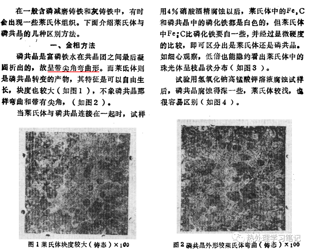 磷共晶与莱氏体的区别方法-钢铁百科
